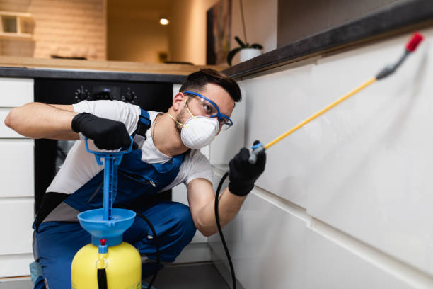 Best Cockroach Control Services  in Manana, HI