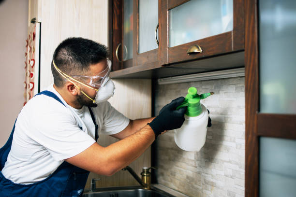  Manana, HI Pest Control Pros