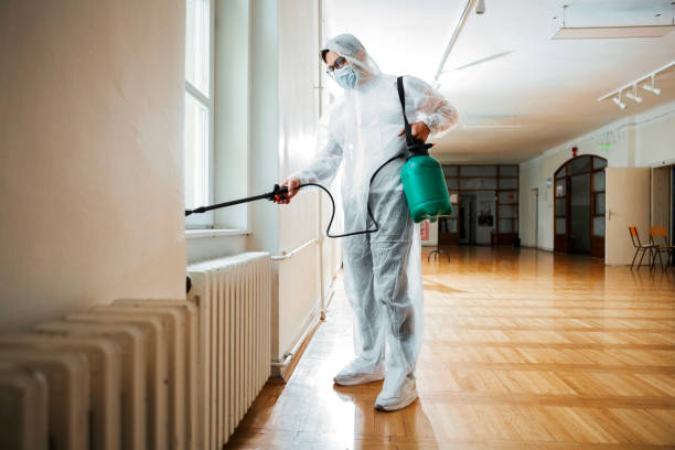 Best Local Pest Control Services  in Manana, HI